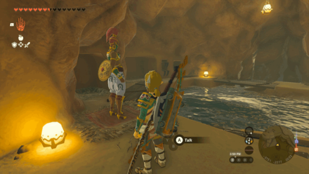 Zelda Tears of the Kingdom TotK - Talk to Anche