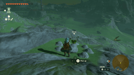 TotK - Korok Seed