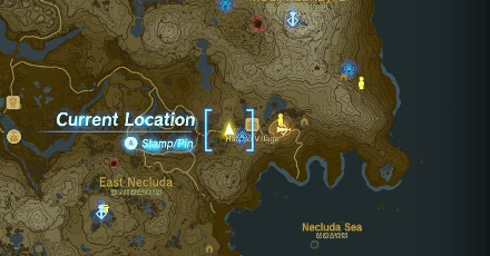 Tears of the Kingdom - Manny