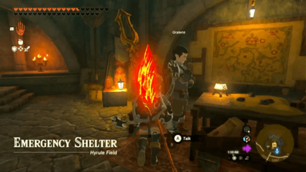 Zelda TotK - Talk to Gralens to Obtain the Associated Side Quests
