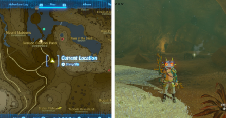 Zelda Tears of the Kingdom TotK - First Traveler Location