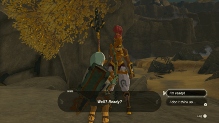 Zelda Tears of the Kingdom TotK - Talk to Naia