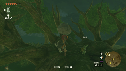 TotK - Korok Seed