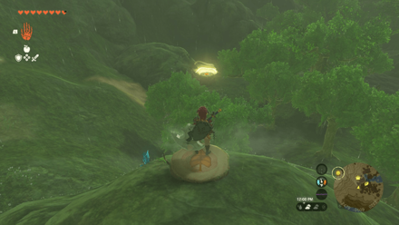 TotK - Korok Seed
