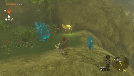 TotK - Korok Seed x2