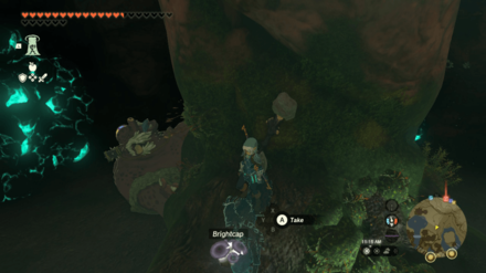 Zelda Tears of the Kingdom TOTK - Ousting the Giant - Defeat the 2nd Giant