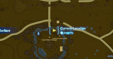 Totk - Cursed Statue.png