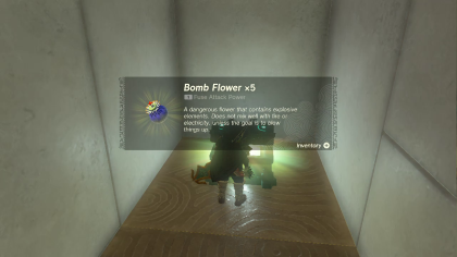 Zelda TotK Siwakama Shrine Walkthrough