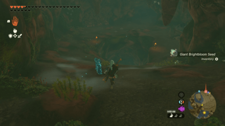 Zelda Tears of the Kingdom TOTK - Ousting the Giant - Calora Cave Hole