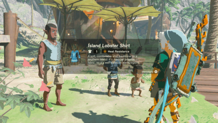 Zelda Tears of the Kingdom TotK - Receive the Reward