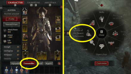 Diablo 4 - How to Use Incense