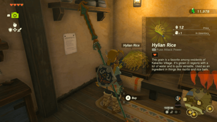Zelda TotK - Hylian Rice Overworld Location