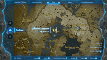 Tears of the Kingdom - The Moonlit Princess