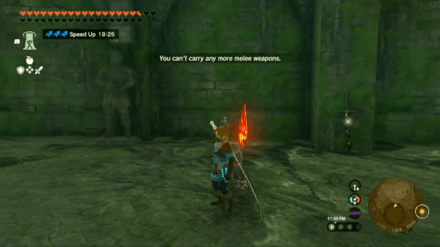 Zelda Tears of the Kingdom TotK - Misko