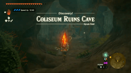 Zelda Tears of the Kingdom TotK - Misko