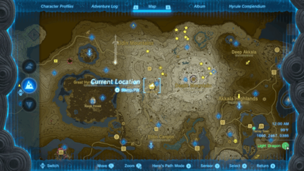 Tears of the Kingdom - Amber Dealer