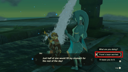 Zelda Tears of the Kingdom TOTK - A Wife Wafted Away - Talk to Mei