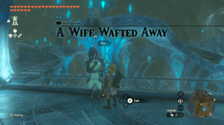 Tears of the Kingdom TOTK A Wife Wafted Away How to Unlock