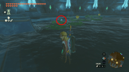 Zelda Tears of the Kingdom TOTK - A Crabulous Deal - Near General Store Overworld