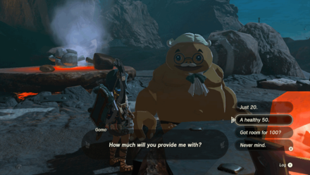 TotK - Provide 50 Flint