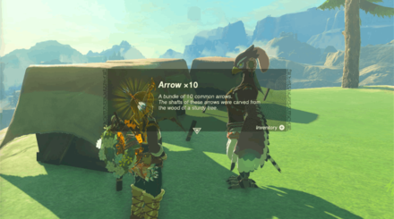 TOTK - Get 10 Arrows Fish for Fletchling