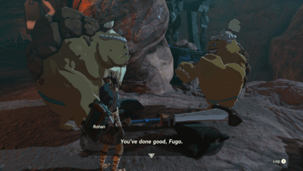 TotK - Return the Materials