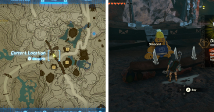 Diamond Shop Location