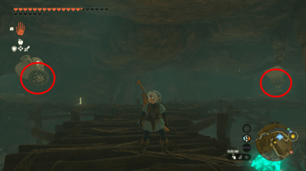 TOTK - Glory of the Zora - Like Like