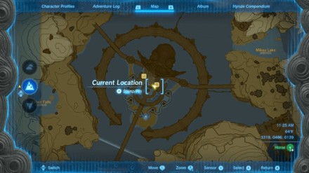 Zelda TotK - Hylian Rice Zora