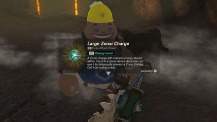 TotK - The Abandoned Laborer Reward