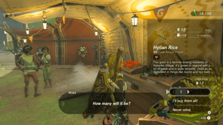 Zelda TotK - Hylian Rice Lookout Landing Location