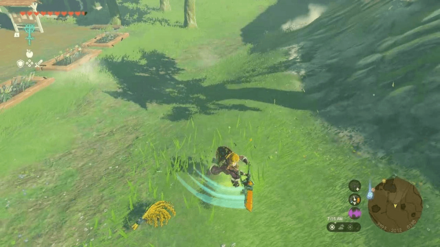 Zelda TotK - Hylian Rice Cut Tall Grasses Near Hateno Town