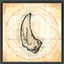 Final Fantasy 16 - Sharp Fang