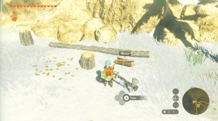 TOTK - Rito Rope Bridge Gather Wood