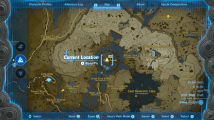 Tears of the Kingdom - True Treasure