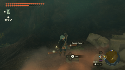 TOTK - True Treasure - Create a Raft