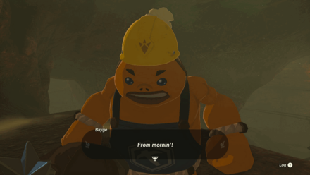 TotK - Talk to Bayge