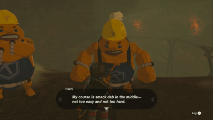 TotK - Talk to Heehl