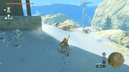 TOTK - Open the Door Defeat the Monsters