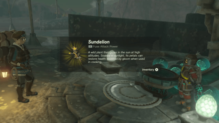 TOTK - Secrets Within - Reward