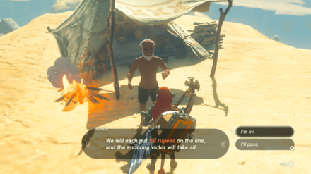 Zelda Tears of the Kingdom TOTK - Cold-Endurance Contest - Pay 50 Rupees