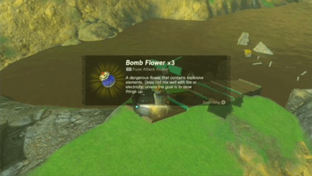 TOTK - Open the Chest to Receive Bomb Flowers