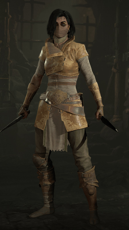 Diablo 4 - Etched Set Rogue Transmog