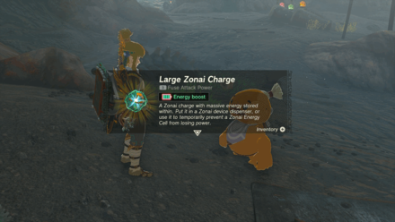 Zelda Tears of the Kingdom TotK - The Ancient City Gorondia Reward