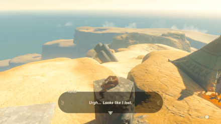 Zelda Tears of the Kingdom TOTK - Heat-Endurance Contest - Wait for Contest to Finish