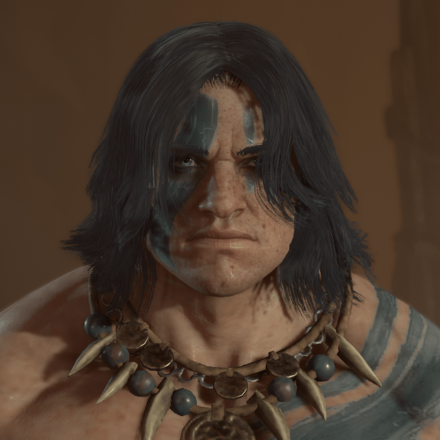 Diablo 4 - Dark Velvet Hair