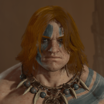 Diablo 4 - Auburn Hair
