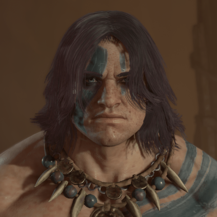 Diablo 4 - Midnight Ruby Hair