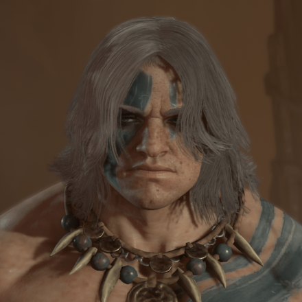 Diablo 4 - Gray Hair