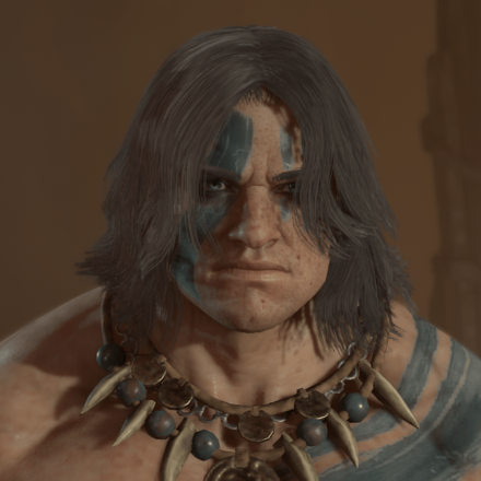 Diablo 4 - Dark Gray Hair